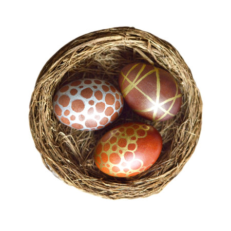 Easter egg in nest isolated on white background, top viewの写真素材