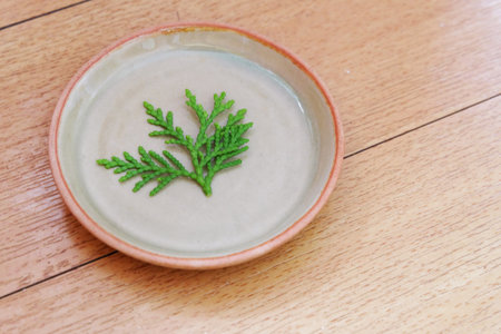 leaf on the round plate