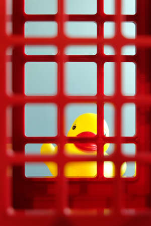 Yellow duck toy behind the red prisonの写真素材