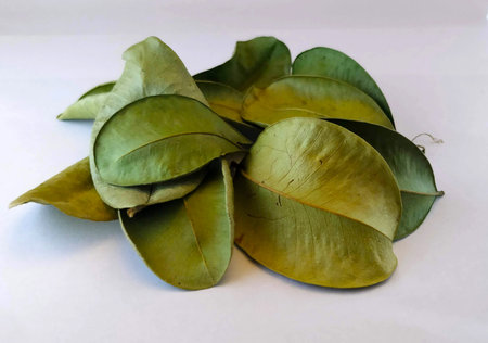 A pile of dried bay leaves.