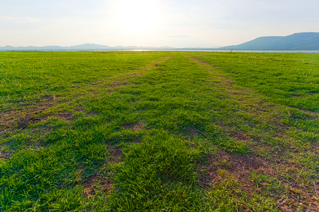 Landscape field of grass, sky and mountain.の写真素材