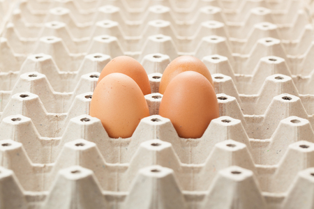 eggs on rag. or cartons packing. on white background.の写真素材