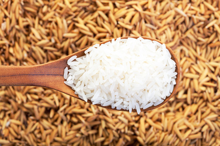 food background. rice grain in a wooden spoon and forming a background.  top viewの写真素材