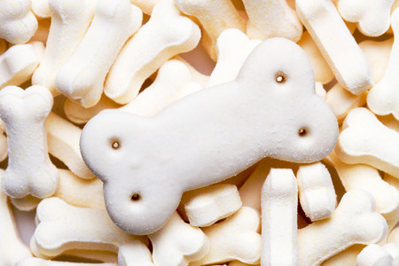 Pile of white color dog biscuits in the shape of a bone for a pet food background. top viewの写真素材