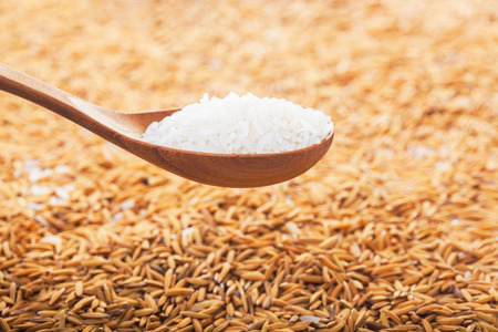 food background. rice grain in a wooden spoon and forming a background.の写真素材