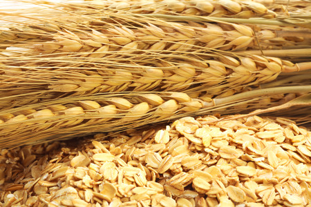 Close up of cereal grain whole rolled oatsの写真素材