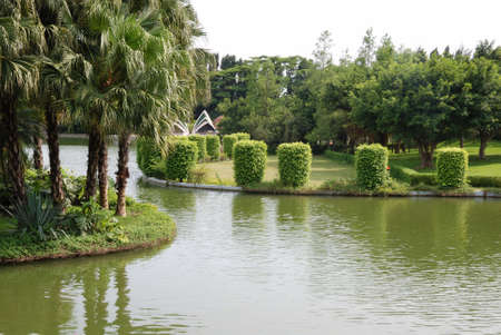 This is a park in the  south of China.の写真素材