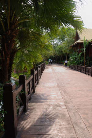 This is scenery of city park in the south of China.の写真素材