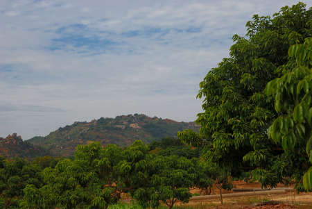 This is a scenery of village in the south of China.の写真素材