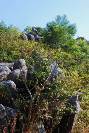 This is a scenery of village in the south of China.の写真素材