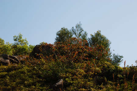 This is a scenery of village in the south of China.の写真素材