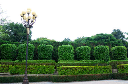 This is a scenery of city park in Chinaの写真素材