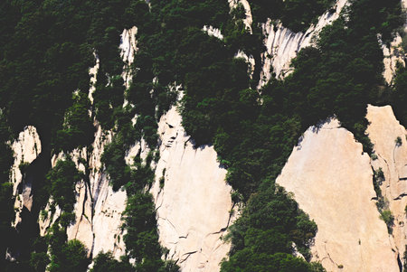 The scenery of Huashan Scenic Area in Shaanxi, China, features the towering and precipitous Huashan Mountain, lush trees and vegetation, blue sky and white clouds, and a throng of tourists.の写真素材