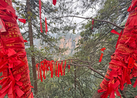 The landscape of Zhangjiajie National Forest Park in Hunan Province, China, in autumn.の写真素材