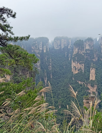 The landscape of Zhangjiajie National Forest Park in Hunan Province, China, in autumn 2025.の写真素材