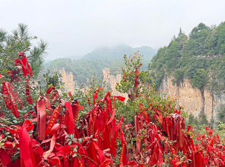 The landscape of Zhangjiajie National Forest Park in Hunan Province, China, in autumn 2025.の写真素材