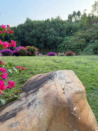 In the winter of 2025, the grasslands of a certain place in the south are adorned with red flowers and stones.の写真素材