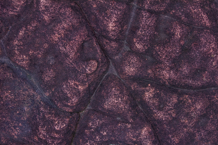 The rock:Phu Hin Rong Kla National Park.の写真素材