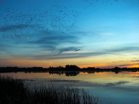 After sunset by the lakeの写真素材