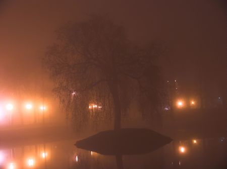 Lonely tree on a pond at nightの写真素材