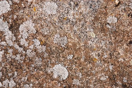 Stone surface in closeupの写真素材