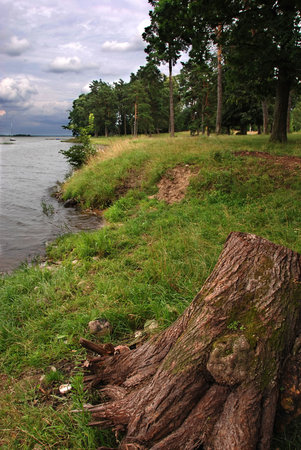 Cloudy day landscapeの写真素材