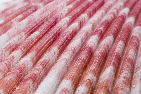 Sea shell in closeupの写真素材