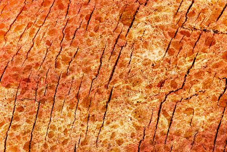 Colorful wood textureの写真素材