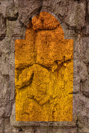 Grunge vintage backgroundの写真素材