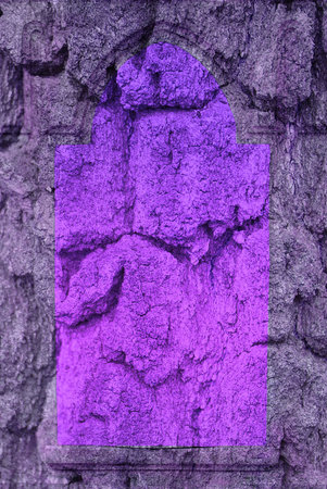 Grunge vintage backgroundの写真素材