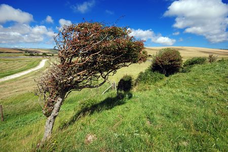Beautiful summer landscpaeの写真素材