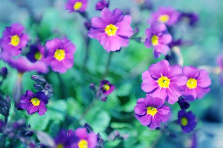 Beautiful floral backgroundの写真素材