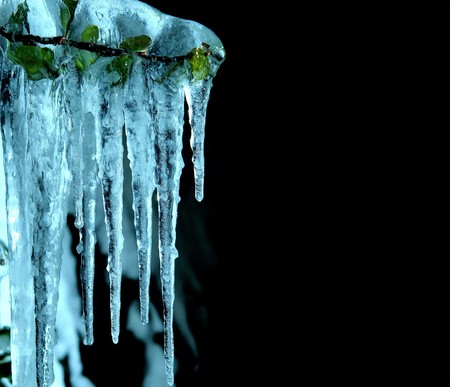 Icicles on black backgroundの写真素材