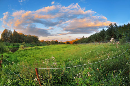 Beautiful summer countryside at sunset