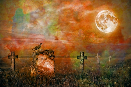 Crow sitting on a gravestone in moonlightの写真素材