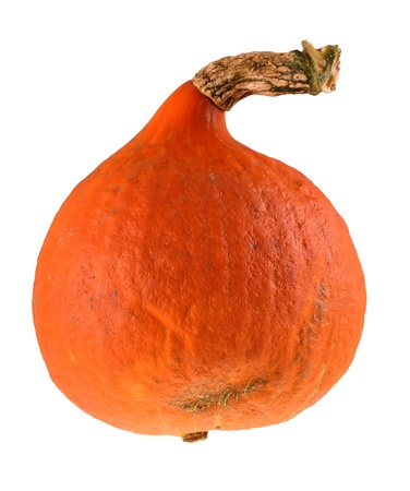 Fresh pumpkin isolated on white backgroundの写真素材