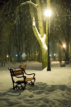 Red bench in the park with falling snow at nightの写真素材