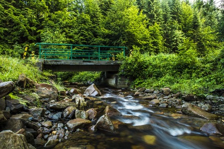 Stream in Beskidy mountains, Polandの写真素材