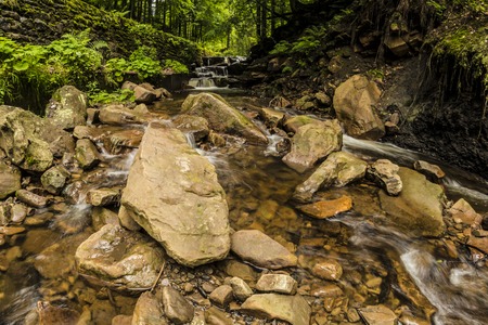Stream in Beskidy mountains, Polandの写真素材