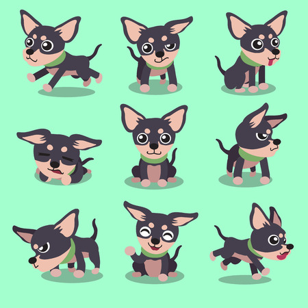 Cartoon character chihuahua dog posesのイラスト素材