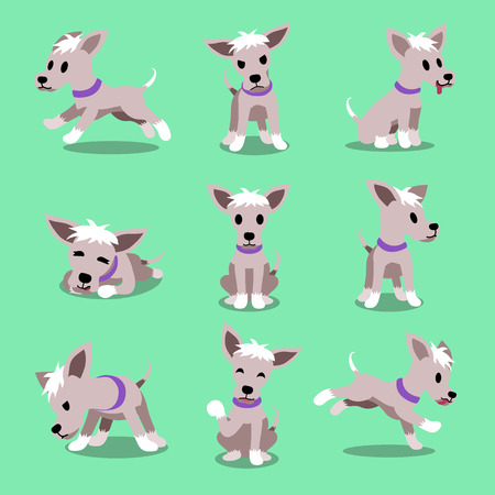Cartoon character dog posesのイラスト素材