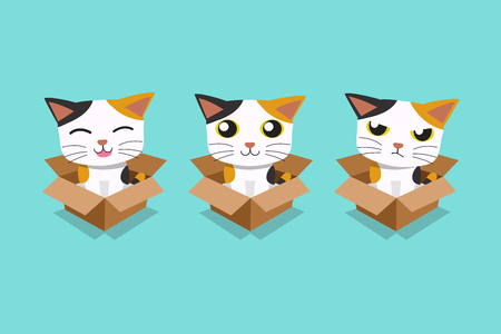Vector cartoon illustration set of cat in cardboard boxのイラスト素材