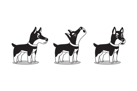 Vector cartoon character doberman dog posesのイラスト素材