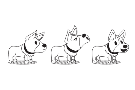 Vector cartoon character cute corgi dog poses setのイラスト素材