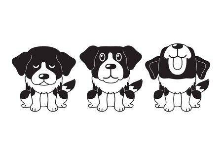 Vector cartoon character saint bernard dog poses for design.のイラスト素材