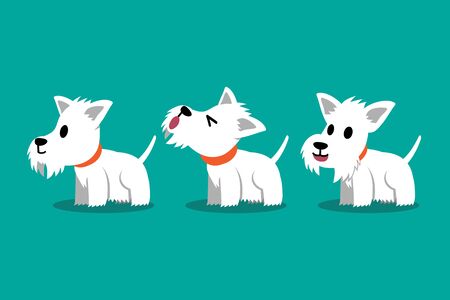 Set of vector cartoon character white scottish terrier dog poses for design.のイラスト素材