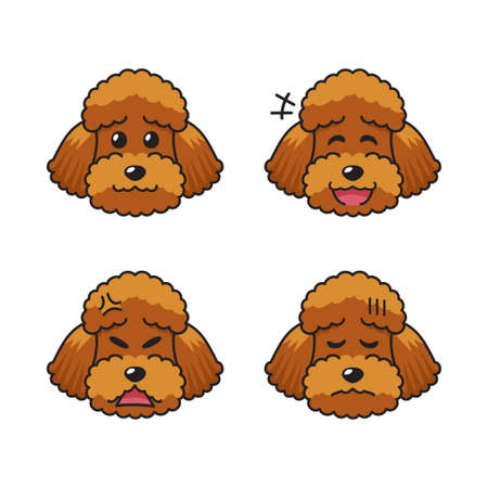 Set of character brown poodle dog faces showing different emotions for design.のイラスト素材