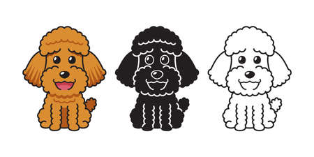 Vector cartoon set of poodle dog for design.のイラスト素材