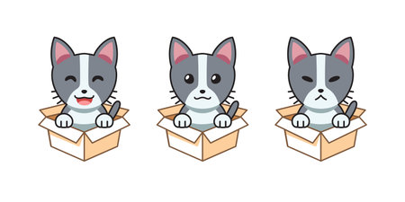 Vector cartoon illustration set of cat showing different emotions in cardboard boxes for design.のイラスト素材