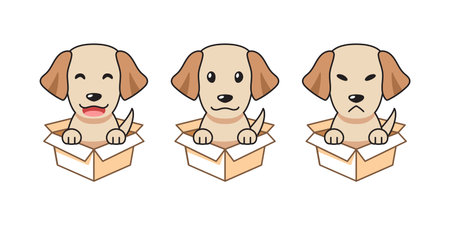 Vector cartoon illustration set of labrador retriever dog showing different emotions in cardboard boxes for design.のイラスト素材